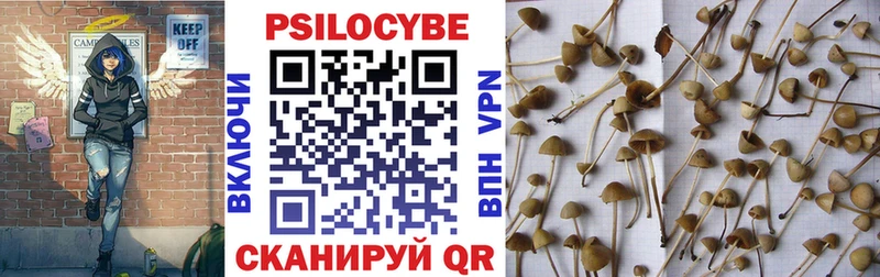 Галлюциногенные грибы Cubensis  Купить  Анива 