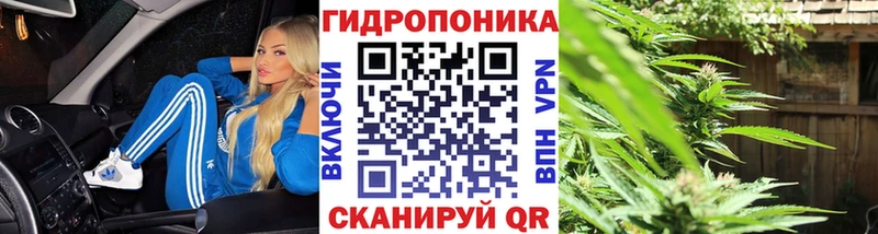 Бошки марихуана White Widow Купить закладки Анива